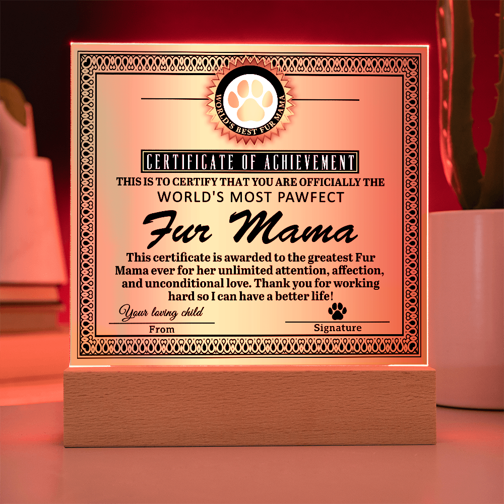 Acrylic Square Plaque – Funny Fur Mama Gift