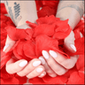 Rose Petals – Romantic Touch for Gift Boxes, Jewelry Surprises & Celebrations