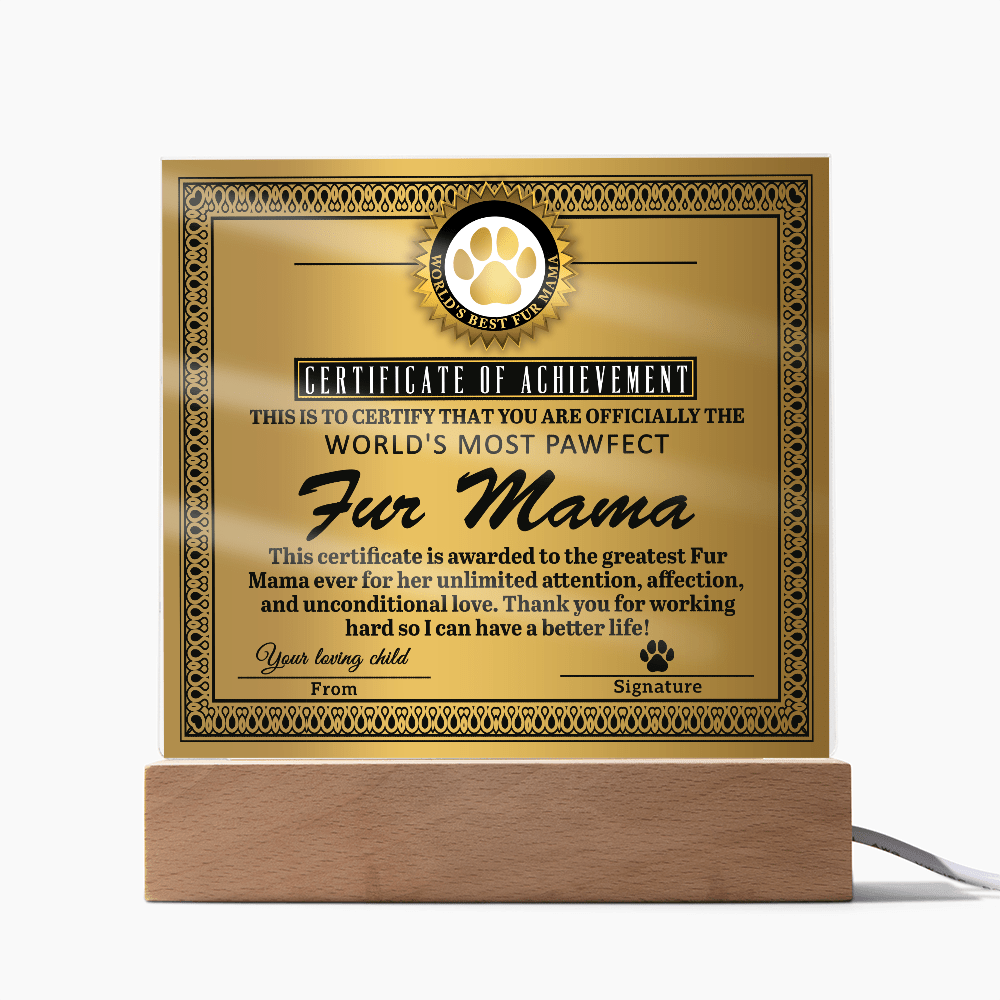 Acrylic Square Plaque – Funny Fur Mama Gift - TreasuredTale