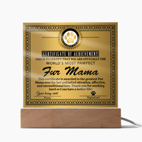 Acrylic Square Plaque – Funny Fur Mama Gift - TreasuredTale