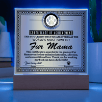 Acrylic Square Plaque – Funny Fur Mama Gift - TreasuredTale