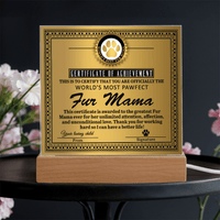 Acrylic Square Plaque – Funny Fur Mama Gift - TreasuredTale