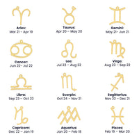 Zodiac Symbol Necklace for Stepmother / Bonus Mom from Daughter - Mother's Day Gift