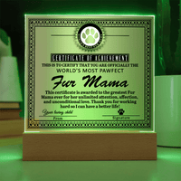 Acrylic Square Plaque – Funny Fur Mama Gift - TreasuredTale