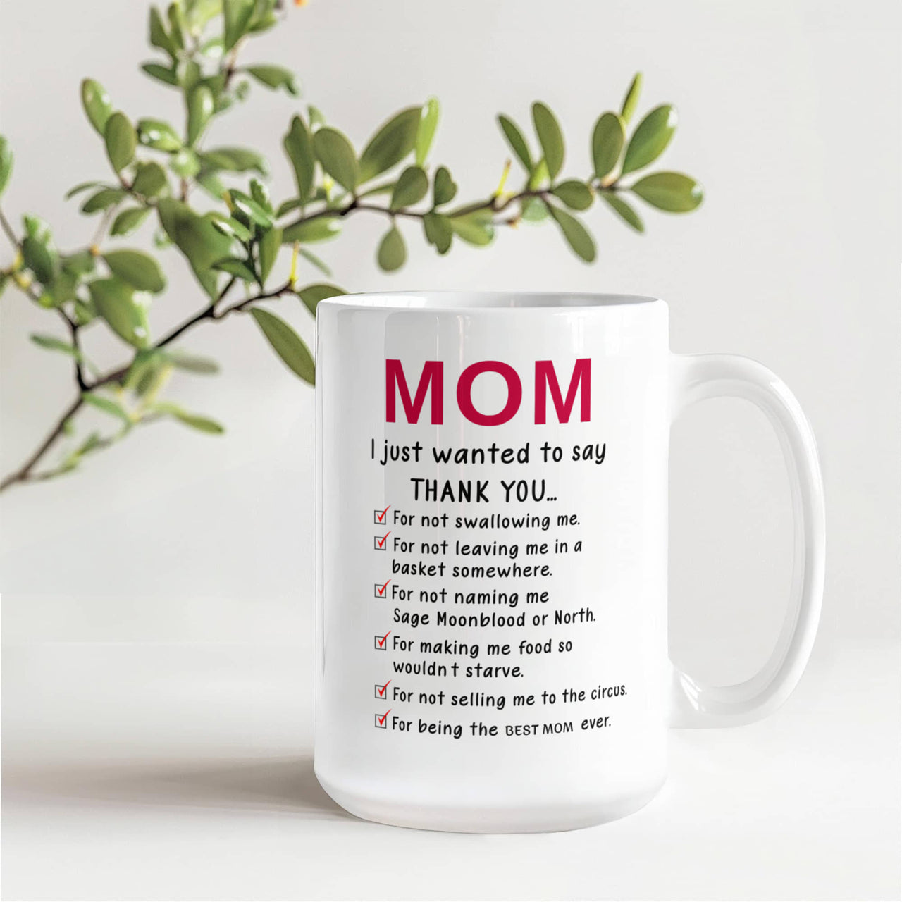 Funny White Ceramic Mug for Mom - Mother's Day Gift - Mom I Just Wanted to Say Thanks
